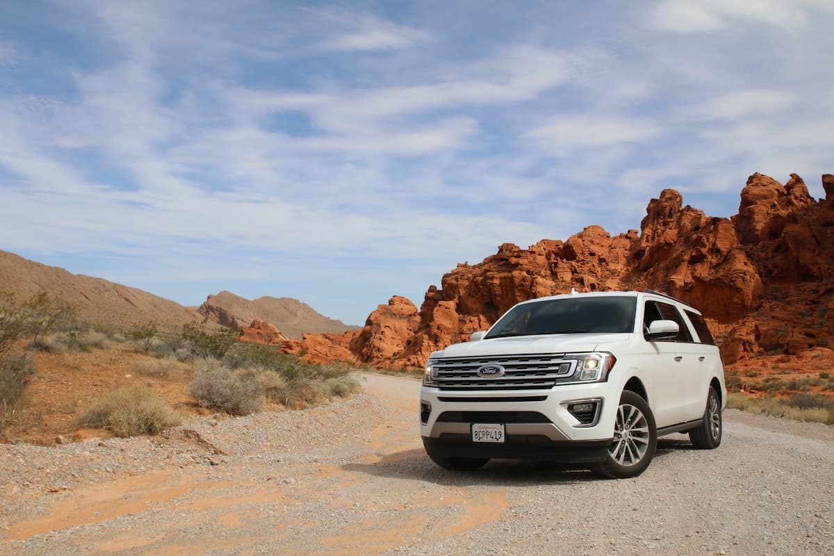 Dealership fleet services
